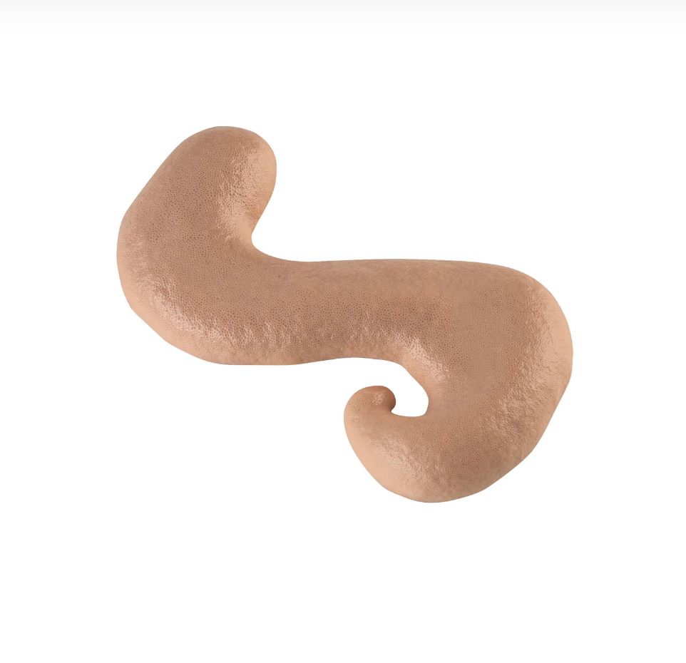 TiZO SheerFoam Body & Face Sunscreen (Tinted)