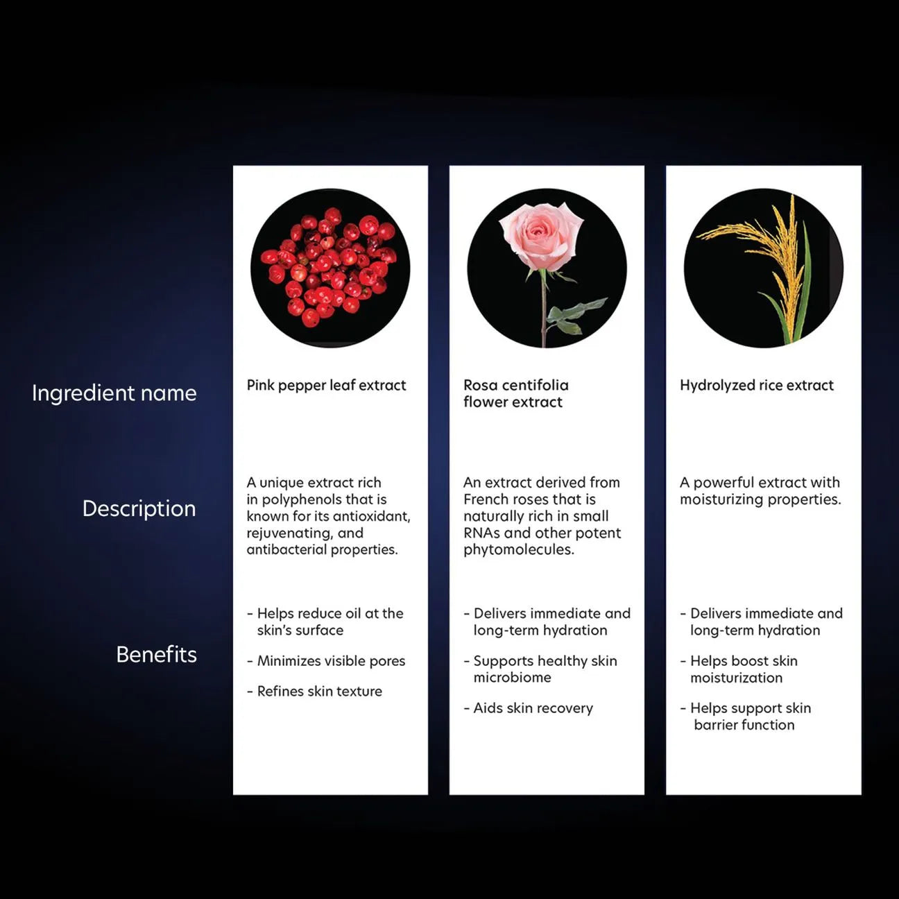 PCA Hydramatte